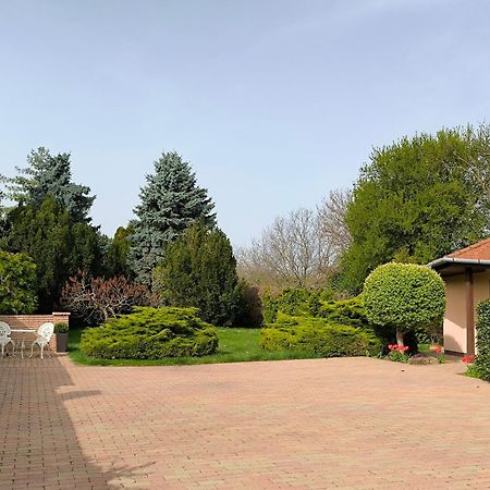 Korona Panzio Bed & Breakfast Balatonbereny Luaran gambar